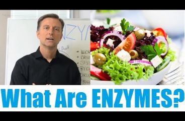 What Are Enzymes?