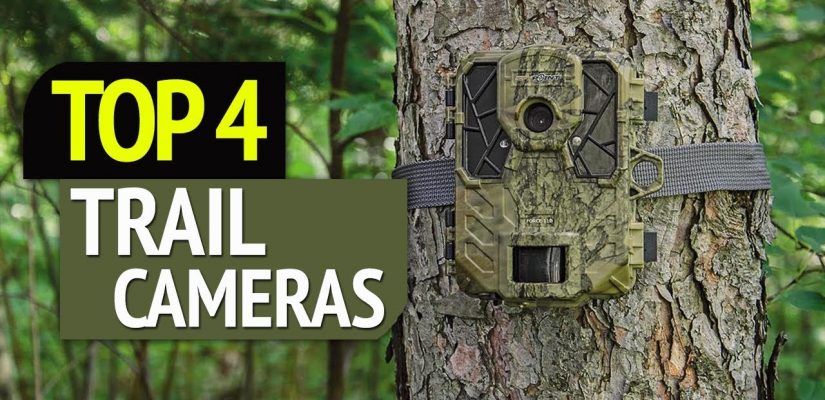 TOP 4: Best Trail Cameras 2019